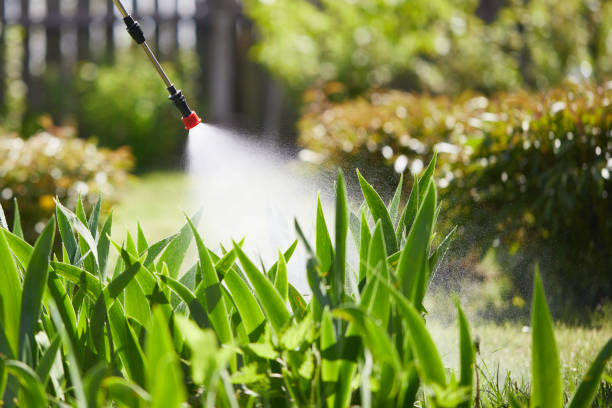 24/7 Emergency Cockroach Control experts in South Pottstown, PA